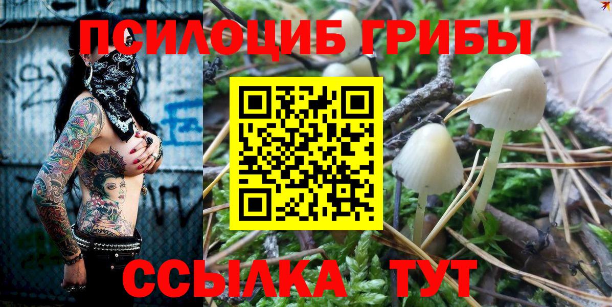 Галлюциногенные грибы GOLDEN TEACHER  Псилоцибиновые грибы прущие грибы  Луховицы  наркошоп  Вход с VPN 